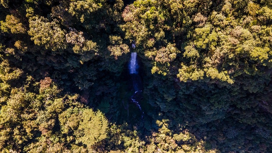 Top view of the Yanay Mandor Waterfall, Chocolate and Coffee at the traditional Finca Doña Julia