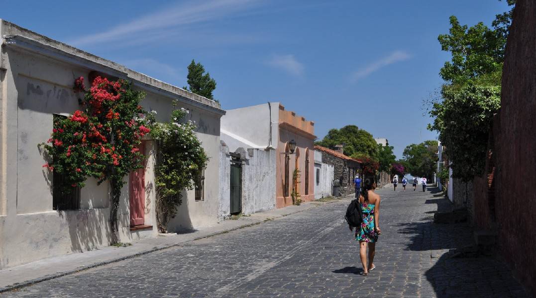 The picture showcases a charming street in Colonia del Sacramento, Uruguay. The grey houses, adorned with colorful flowers, create a picturesque and inviting atmosphere.
