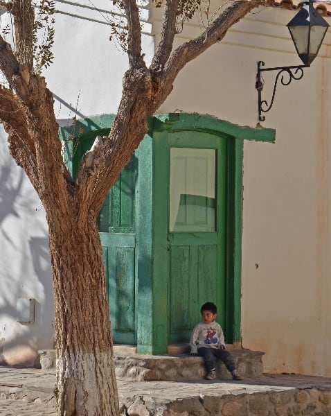 In the picturesque town of Molinos, a charming scene unfolds. A kid sits comfortably in front of a vibrant green booth, their curiosity captured by the surroundings. A majestic tree stands proudly beside them, providing shade and a touch of tranquility. Behind, a white house exudes timeless charm, adding to the idyllic atmosphere. The sun casts a warm glow, illuminating the scene and bringing out the vibrant colors of the town. Molinos' essence is captured in this snapshot, reflecting its rustic beauty, a place where simplicity and serenity converge.