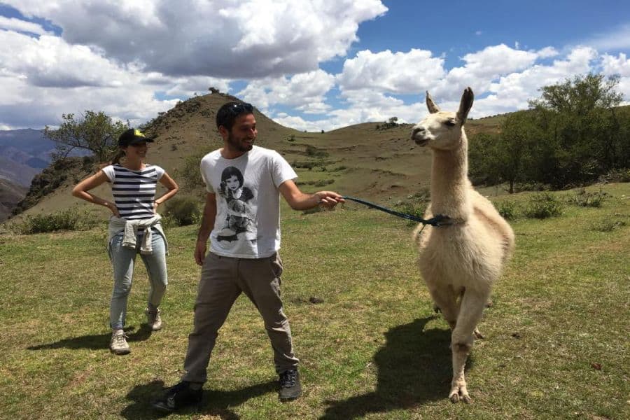 Fun with Llamas, Llama Trek & Picnic