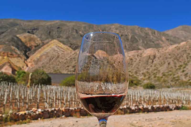 Glass with red wine inside and the Dupont vineyard as background - Maimara Argentina