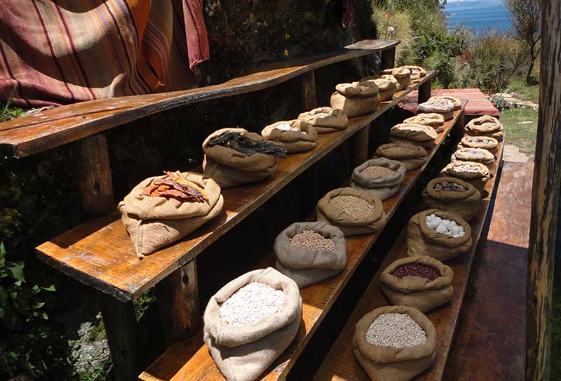 Local Andean crops in bags displayed on a local museum of the Sun Island, Titicaca Lake