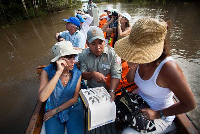 A guided boat excursion by Delfin cruises in the Peruvian Amazon to spot wildlife. A guide shows wildlife species on his book to one traveler
