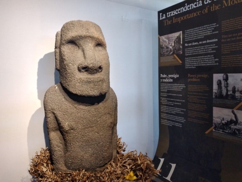 maoi statue in easter island museum