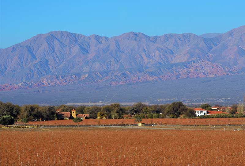 Salta Argentina - Vineyard in the Calchaqui Valley