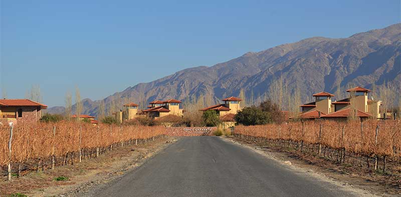 Entrance surrounded by vineyards to the Hotel Grace & Spa in Cafayate (North Argentina)