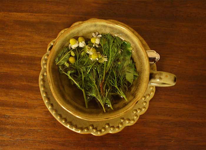 Fresh made chamomile tea (from the organic gardens of Hacienda Inkaterra Urubamba Hotel in the Sacred Valley