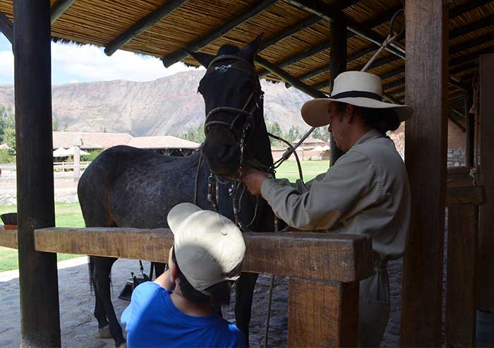 Preparing a Peruvian Paso horse for a short ride with a 6-year old kid at Sol y Luna Hotel Sacred Valley of Cusco
