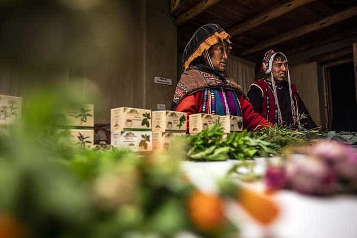 Lady and man wearing Andean traditional attires explaining about medicinal herbs in the Potato Park