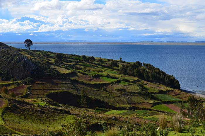 Lake Titicaca & Puno, agricultural terraces at Luquina community on the lake's shores 