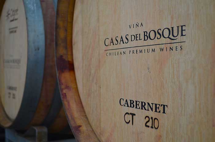 Santiago's Vineyards - Wine big barrels at Casas del Bosque Winery - Casablanca Valley - Chile