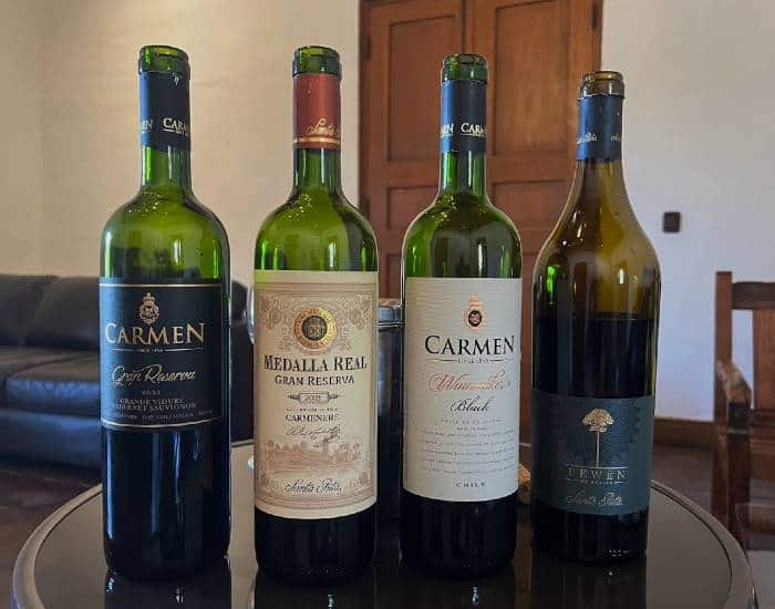 Four bottles of different Chilean wine sorts  