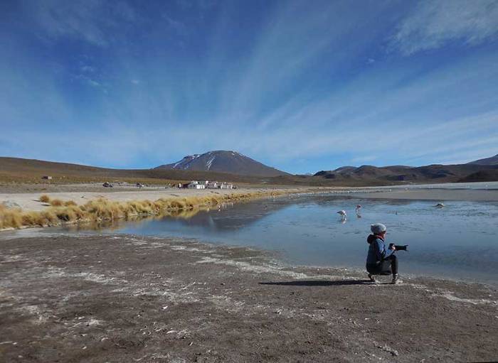 A photographer waiting for a capture in the Eduardo Avaroa Reserve featuring lagoons and flamingoes