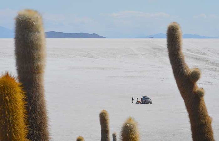 Cacti from the Fish Island overlooking the salt flats of Uyuni, the mountains and a couple with guide and a jeep