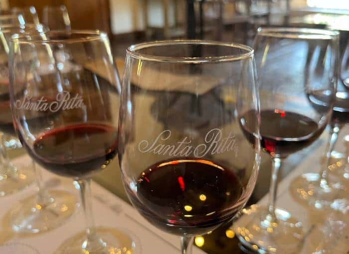 Many branded glasses filled with red wine at Santa Rita winery  