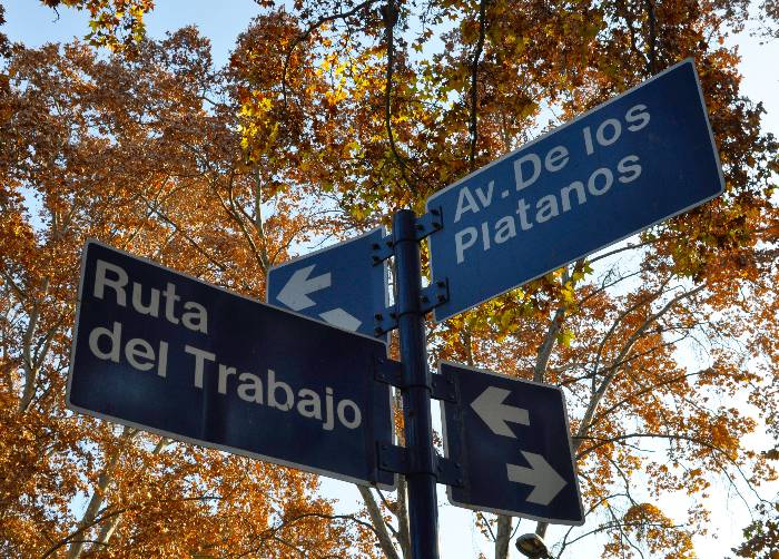 2 blue street signs in Mendoza city having trees with yellow/green leaves 