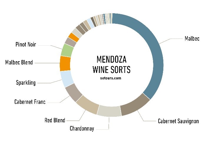 A graph using a circle to depict the different wine sorts produced in Mendoza's wine regions