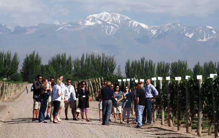 Group of people listening to the explanations of a guide surrounded by vineyards and having the Andean mountains as backdrop